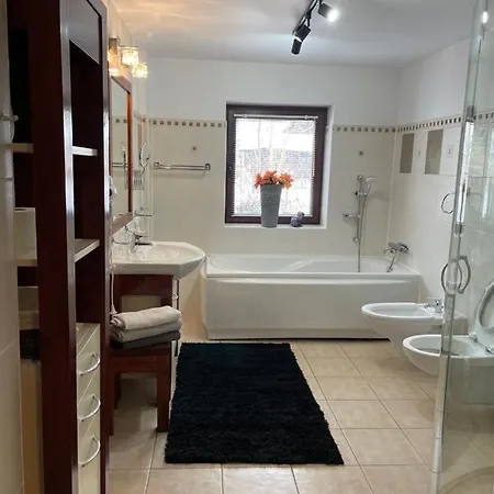 Apartamenty I Pokoje U Staszelow Poronin Exterior foto