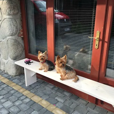 Apartamenty I Pokoje U Staszelow Poronin Exterior foto