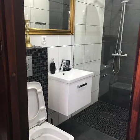 Apartamenty I Pokoje U Staszelow Poronin Exterior foto