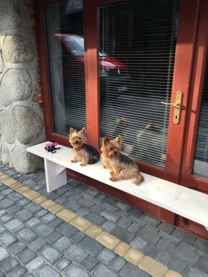 I U Staszelów Gospodarstwo wiejskie *